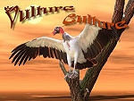 Vulture Culture; documenting all species of vulture.